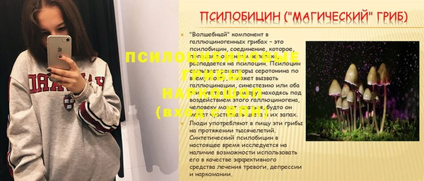 спиды Алзамай