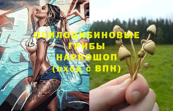 синтетический гашиш Алексин