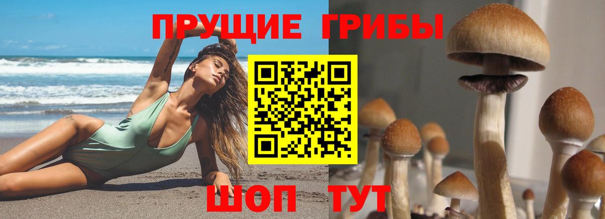 Гуково  Галлюциногенные грибы Psilocybine cubensis  Псилоцибиновые грибы ЛСД  Вход с VPN 